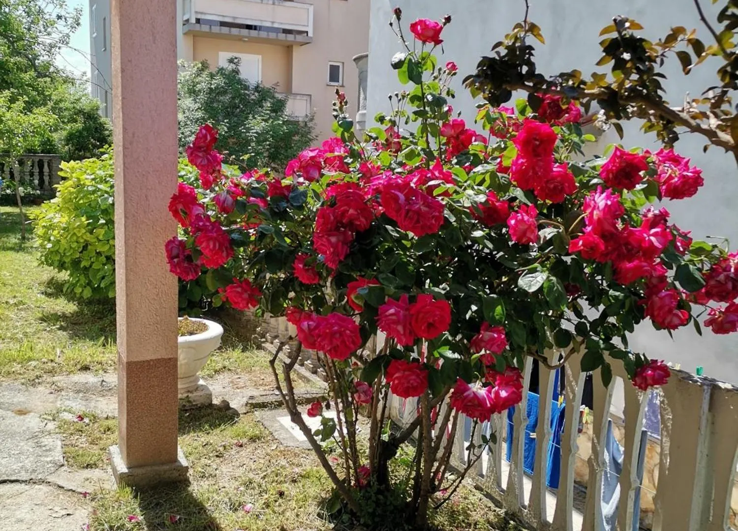 Guest house Room In Lopar With Balcony, Wifi 4620-96